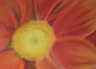 "Blumendetail" by Angela Roos-Maguire on art24