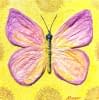 "Spring Butterfly" by Anna Burger on art24