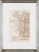 "Alter Baum" by Heinrich Rieter on art24