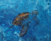 "Aqua con Turtle" de Anke Löwner sur art24