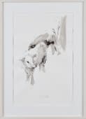 "Kalb" by Sam Drukker on art24