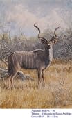 "10. Kudu Antilope aus Afrika" von Hans Jakob auf art24