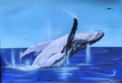 ""jumping whale"" by JMH color Rock's on art24