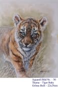 "50. Tiger Baby" by Hans Jakob on art24