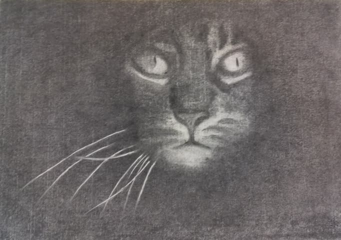 Image 1 of the artwork "Katze" by Christopher Baumann on art24