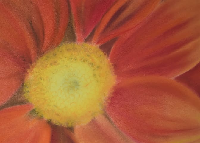 Image 1 of the artwork "Blumendetail" by Angela Roos-Maguire on art24