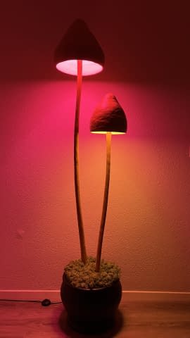 Image 2 de l'œuvre "Shroom Lamp" par jkbmlck sur art24