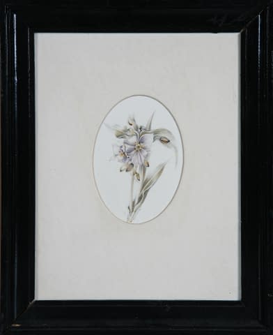 Image 1 of the artwork "Blumen" by Jarmila Chytilová Svojanovská on art24