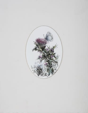 Image 1 of the artwork "Blumen" by Jarmila Chytilová Svojanovská on art24