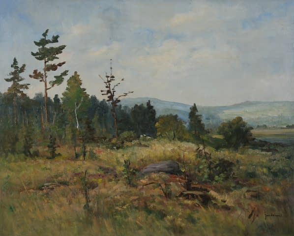 Bild 1 des Kunstwerks "Waldlichte bei Maskovice" von Jan Sklenar auf art24