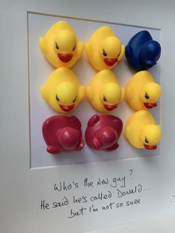 Image 2 of the artwork "Who's the new guy? He said he's called Donald .. but I'm not so sure" by T P Hardisty on art24