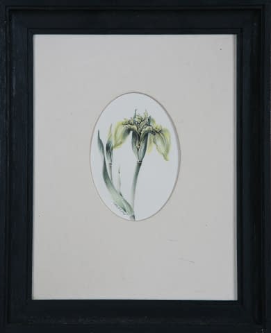 Image 1 of the artwork "Blumen" by Jarmila Chytilová Svojanovská on art24