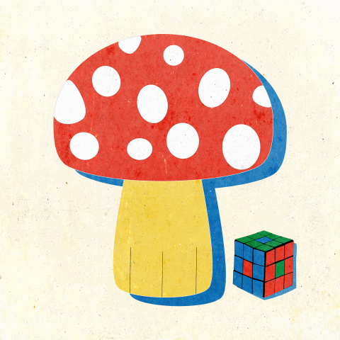 Image 1 of the artwork "Mushroom and Cube" by Mu on art24