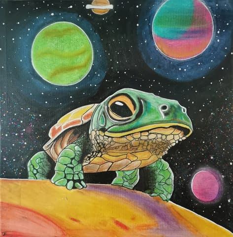 Image 1 of the artwork "Schildkröte im Weltall" by Köhler on art24