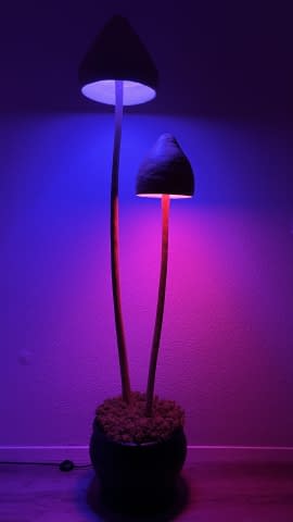 Image 5 de l'œuvre "Shroom Lamp" par jkbmlck sur art24