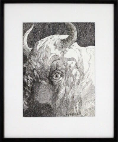 Image 1 of the artwork "Stier mit Fokus aufs Auge" by Jesús Nodarse Valdés on art24