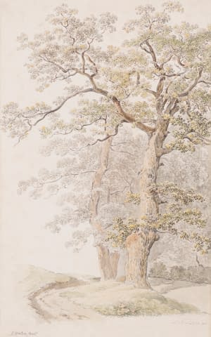 Image 2 de l'œuvre "Alter Baum" par Heinrich Rieter sur art24