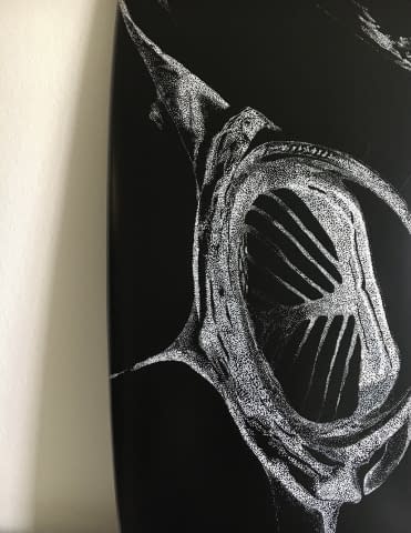 Bild 2 des Kunstwerks "Manta" von Karin Studer auf art24