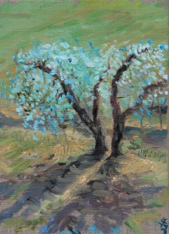 Image 1 de l'œuvre "Olive trees in Chianti" par Judit Flamich sur art24