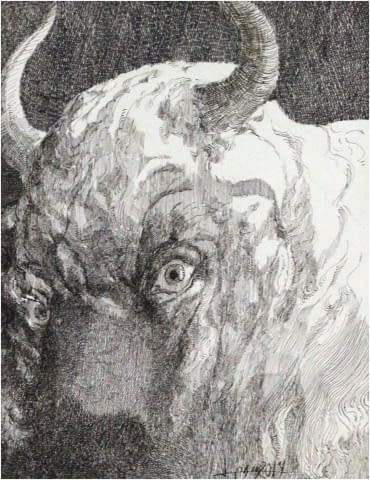 Image 2 of the artwork "Stier mit Fokus aufs Auge" by Jesús Nodarse Valdés on art24