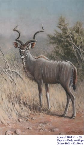 Image 1 of the artwork "09. Kudu Antilope" by Hans Jakob on art24