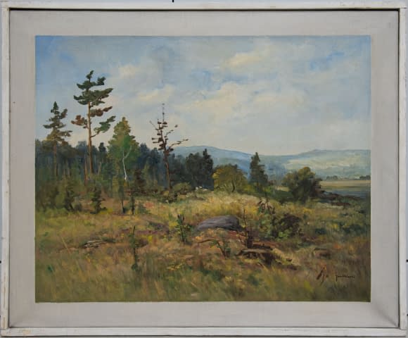 Bild 2 des Kunstwerks "Waldlichte bei Maskovice" von Jan Sklenar auf art24