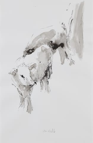 Image 2 de l'œuvre "Kalb" par Sam Drukker sur art24