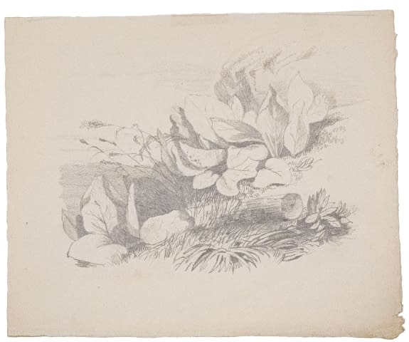 Image 1 de l'œuvre "Studie zu Wiesenstück" par Alexandre Calame sur art24