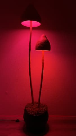 Image 4 de l'œuvre "Shroom Lamp" par jkbmlck sur art24