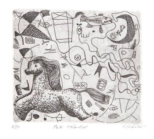 Image 1 of the artwork "Pez volador" by Rudolf Häsler on art24