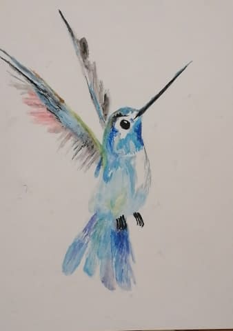 Image 1 de l'œuvre "Bunter Kolibri" par Edurant Bajrami sur art24