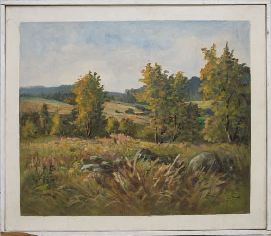 Image 2 of the artwork "Horní Polubný im Isergebirge" by Jan Sklenar on art24