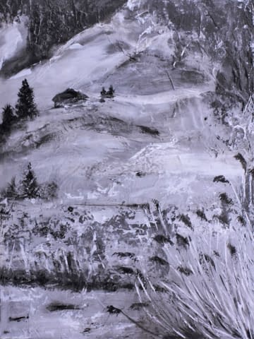 Image 1 of the artwork "Schwarzsee 2" by Aurore Bohnenblust-Grosboillot on art24