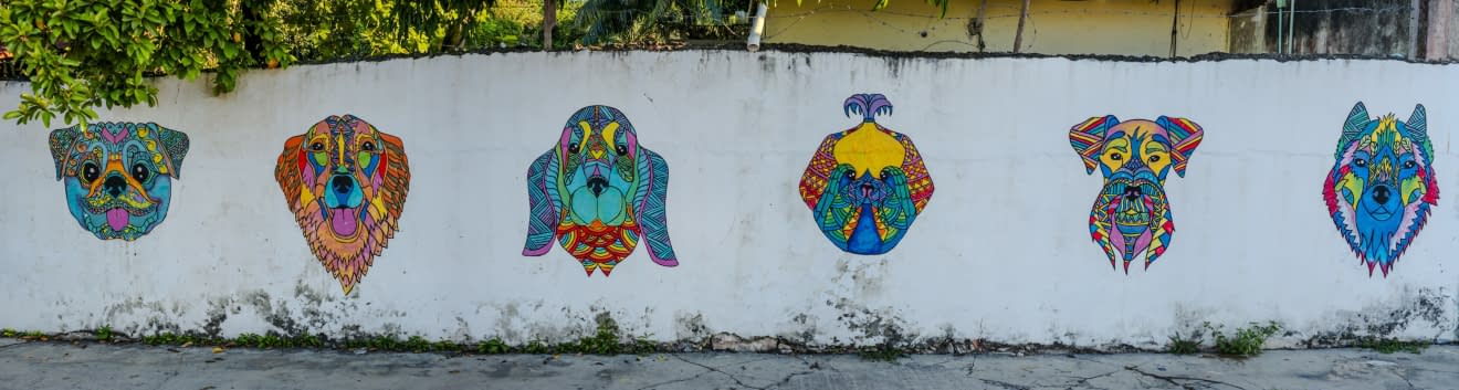 Image 2 of the artwork "#1.3 Street Cozumel. Aus: DUALITY. MEXICO. BETWEEN LIFE & DEATH." by Thomas Haensgen on art24