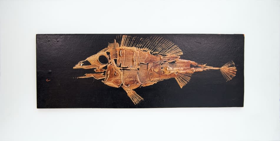 Image 1 of the artwork "Fisch" by Paul Raclé on art24