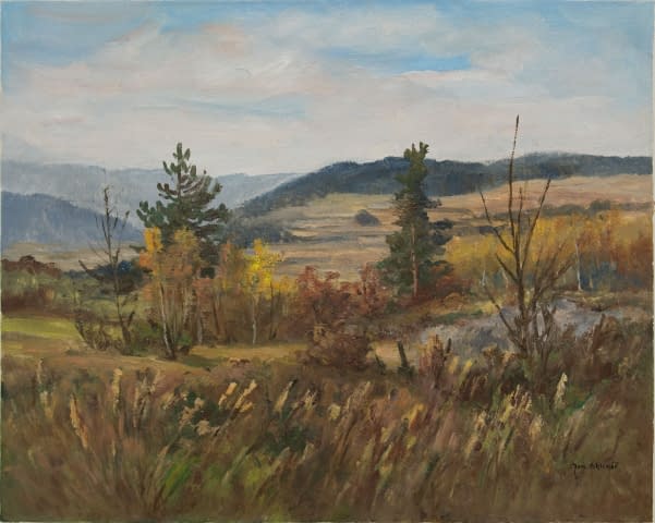 Bild 1 des Kunstwerks "Landschaft bei Netvořice" von Jan Sklenar auf art24