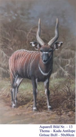 Image 1 of the artwork "13. Kudu Antilope" by Hans Jakob on art24