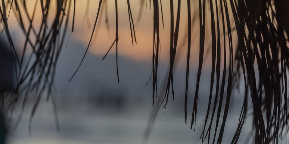 Image 4 de l'œuvre "#1.14 Playa Holbox Silent. Teil 14 der Serie: DUALITY. MEXICO. BETWEEN LIFE & DEATH." par Thomas Haensgen sur art24