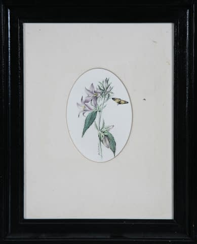 Image 1 of the artwork "Blumen" by Jarmila Chytilová Svojanovská on art24