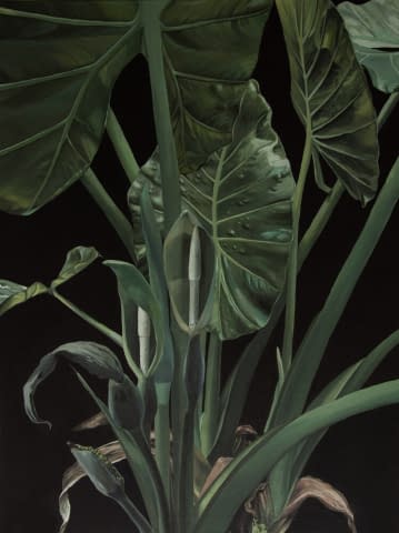 Bild 1 des Kunstwerks "Elephant ear" von Clarissa P. Valaeys auf art24