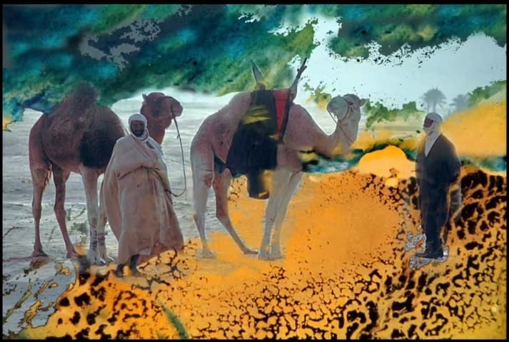 Image 1 of the artwork "Nomaden Wűste Djerba, Tunesia" by Josef H. Neumann on art24