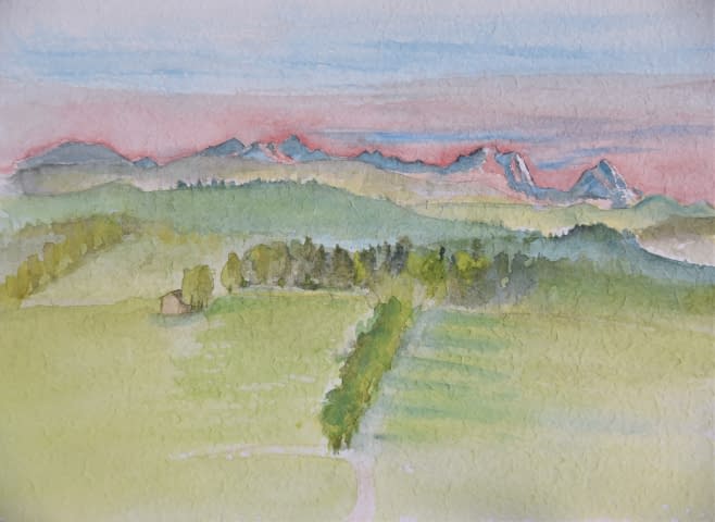 Bild 1 des Kunstwerks "Aussicht auf die Alpen und das Wauwilermoos" von Angela Roos-Maguire auf art24