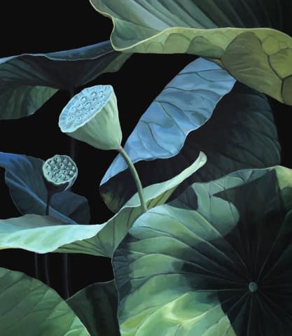 Image 1 of the artwork "Seeds of Lotus II" by Clarissa P. Valaeys on art24