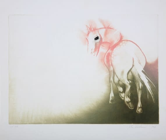 Image 1 of the artwork "Pferd" by Jitka Walterová on art24