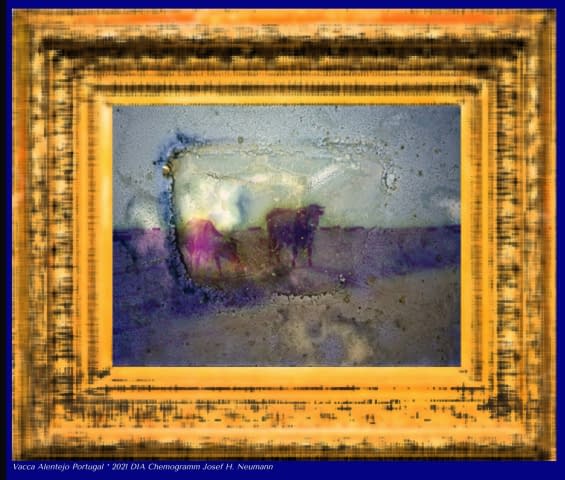 Image 1 of the artwork "Vaca Alentejo" by Josef H. Neumann on art24