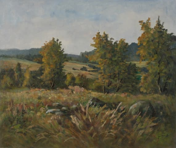 Image 1 of the artwork "Horní Polubný im Isergebirge" by Jan Sklenar on art24
