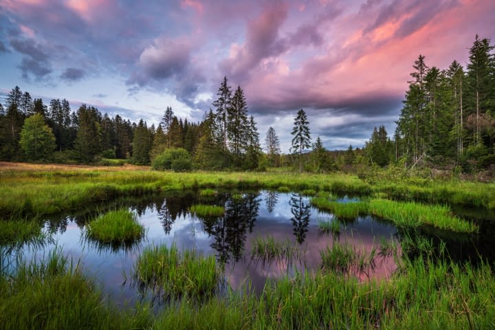 Bild 1 des Kunstwerks "The Pond" von Martin Mägli auf art24