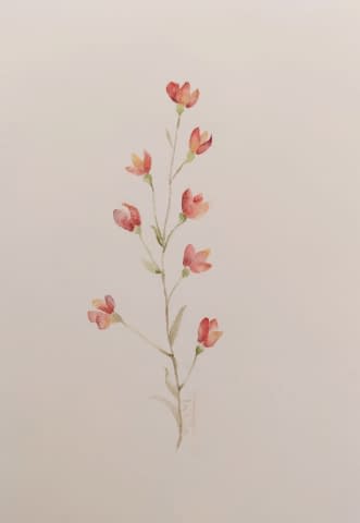 Bild 1 des Kunstwerks "silene dioica" von Tabi auf art24