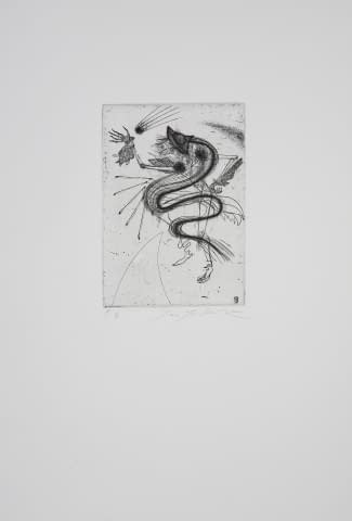 Image 1 of the artwork "Aus Hoffmanns Erzählungen 15/40" by Jan Jedlicka on art24