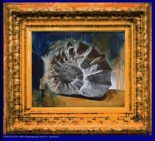 Image 1 of the artwork "* Ammoniten*" by Josef H. Neumann on art24